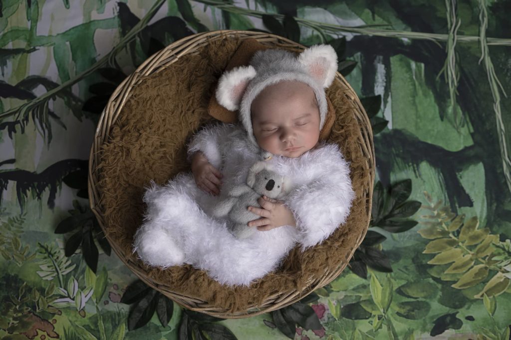 séance photo fréjus nouveau-né thème koala naissance